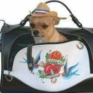 Meet your Posher, Brenda